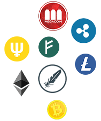 Custom Altcoin Development